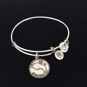 Alex and Ani Taurus sign